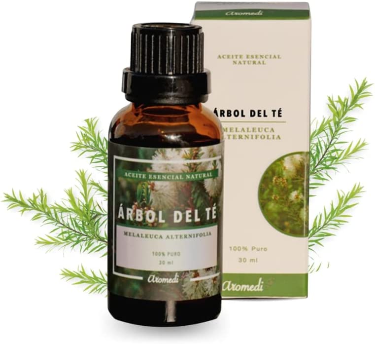Aceite esencial de Árbol del té